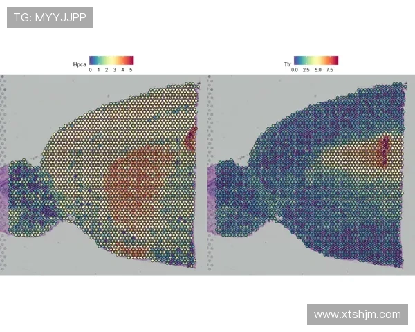 南京攀岩队技术表现数据分析揭示训练效果与提升空间