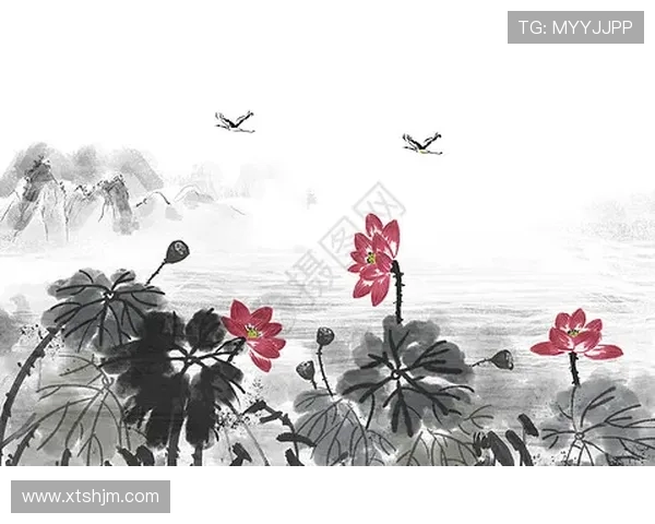 南京网球队包夹战术解析与网球热点动态探讨